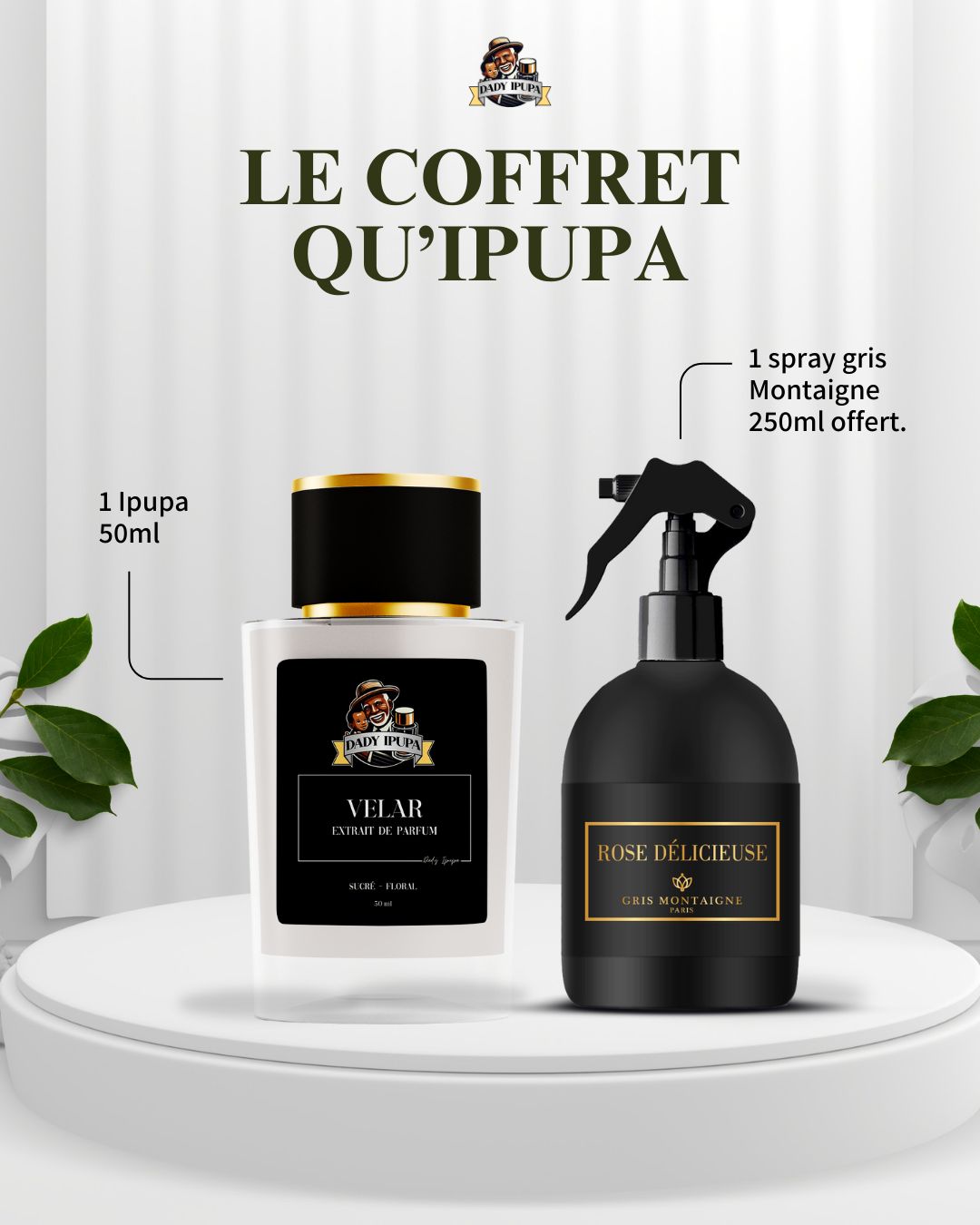 Coffret - Qu'IPUPA