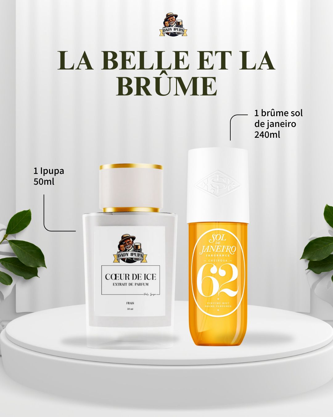 Coffret - La belle et la brume